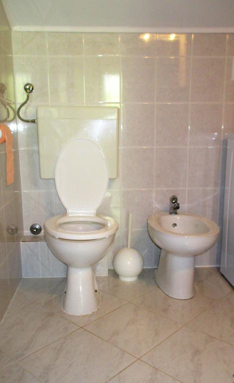 Apartment Zvonar Donji Okrug  エクステリア 写真